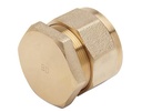 BOUCHON D'EXTREMITE DE TUBE PE DN15 PE20 (EP. 3 MM) NF136 8031351 BOU001
