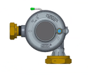 DETENDEUR B10 N /21MB AVEC SECURITE NF404 AE GRDF 8450138 REG111 §