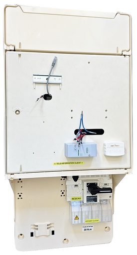 [MICGC211] COFFRET BPS  400A TYPE 4 ECLAIR 6988934E